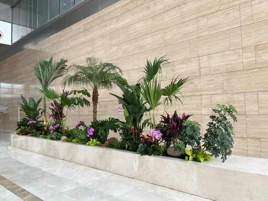 “慈溪植物租摆专业验