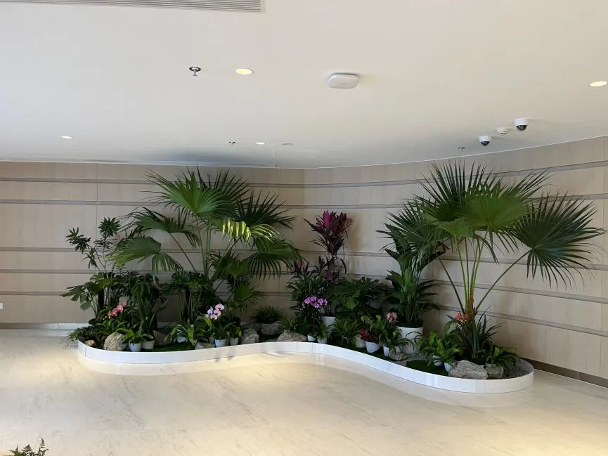 余姚专业花木租赁，花卉绿植装点美好生活