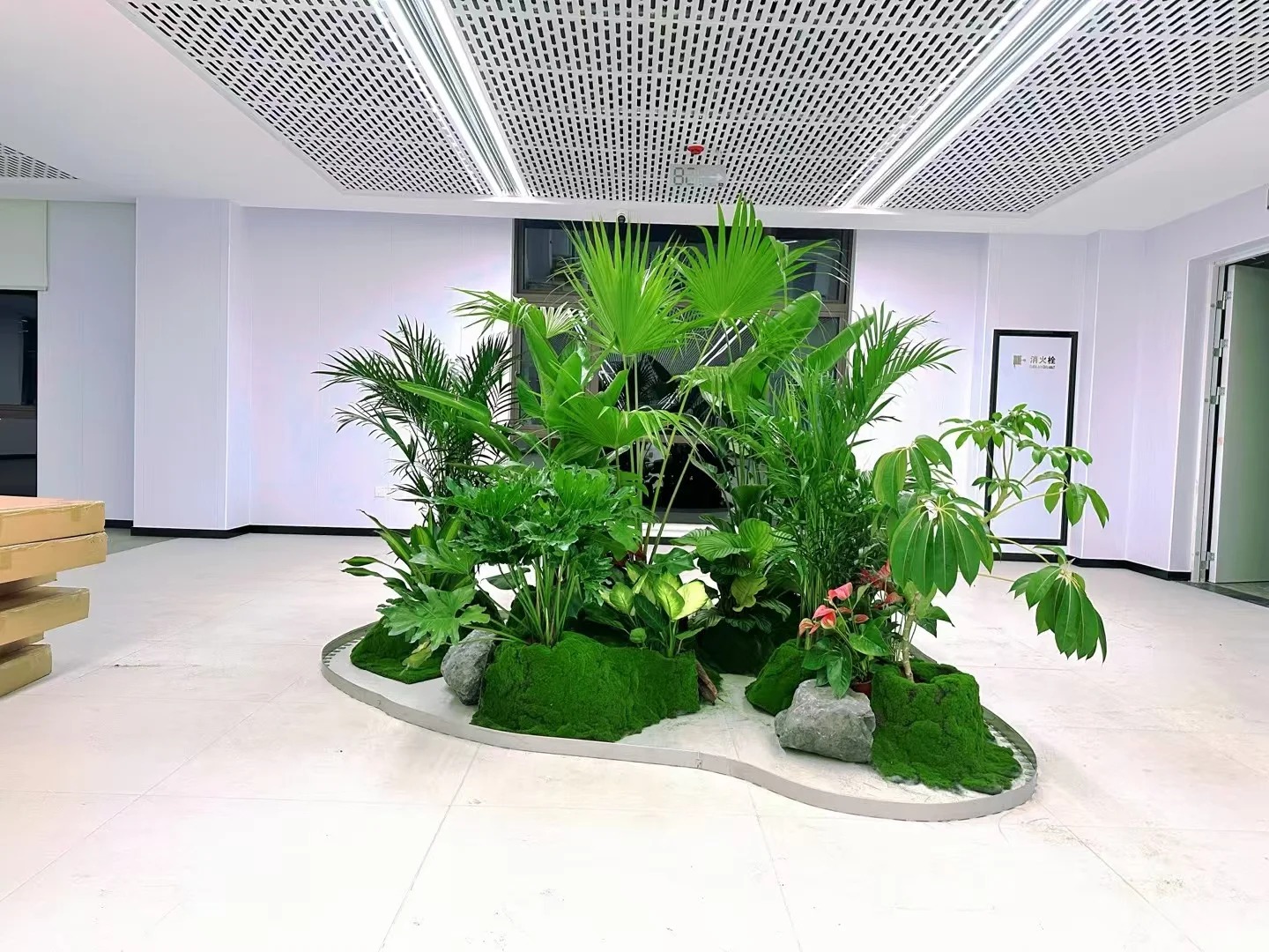 北仑花木出租，打造独特空间的绿植租赁秘籍