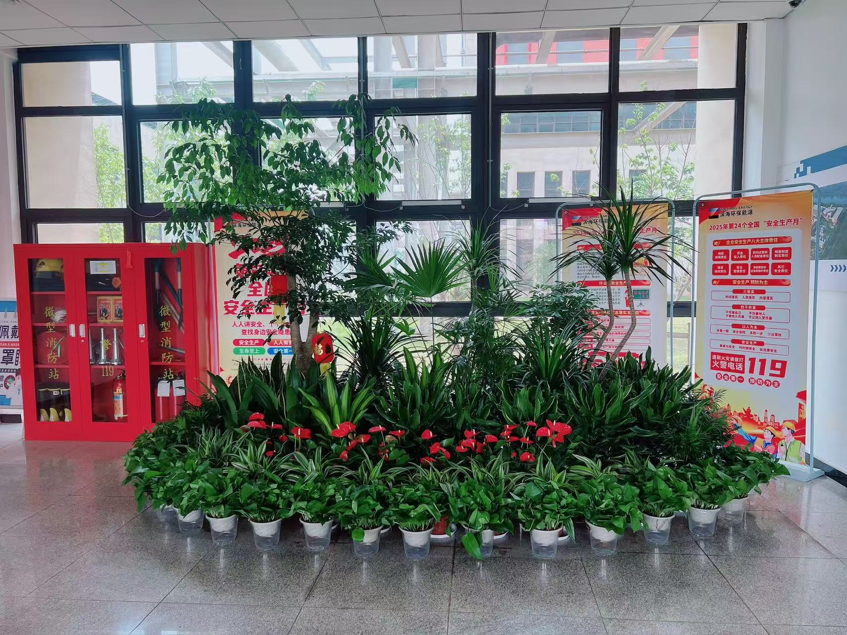 宁波前湾花卉租赁公司，绿植焕新办公空间的秘诀