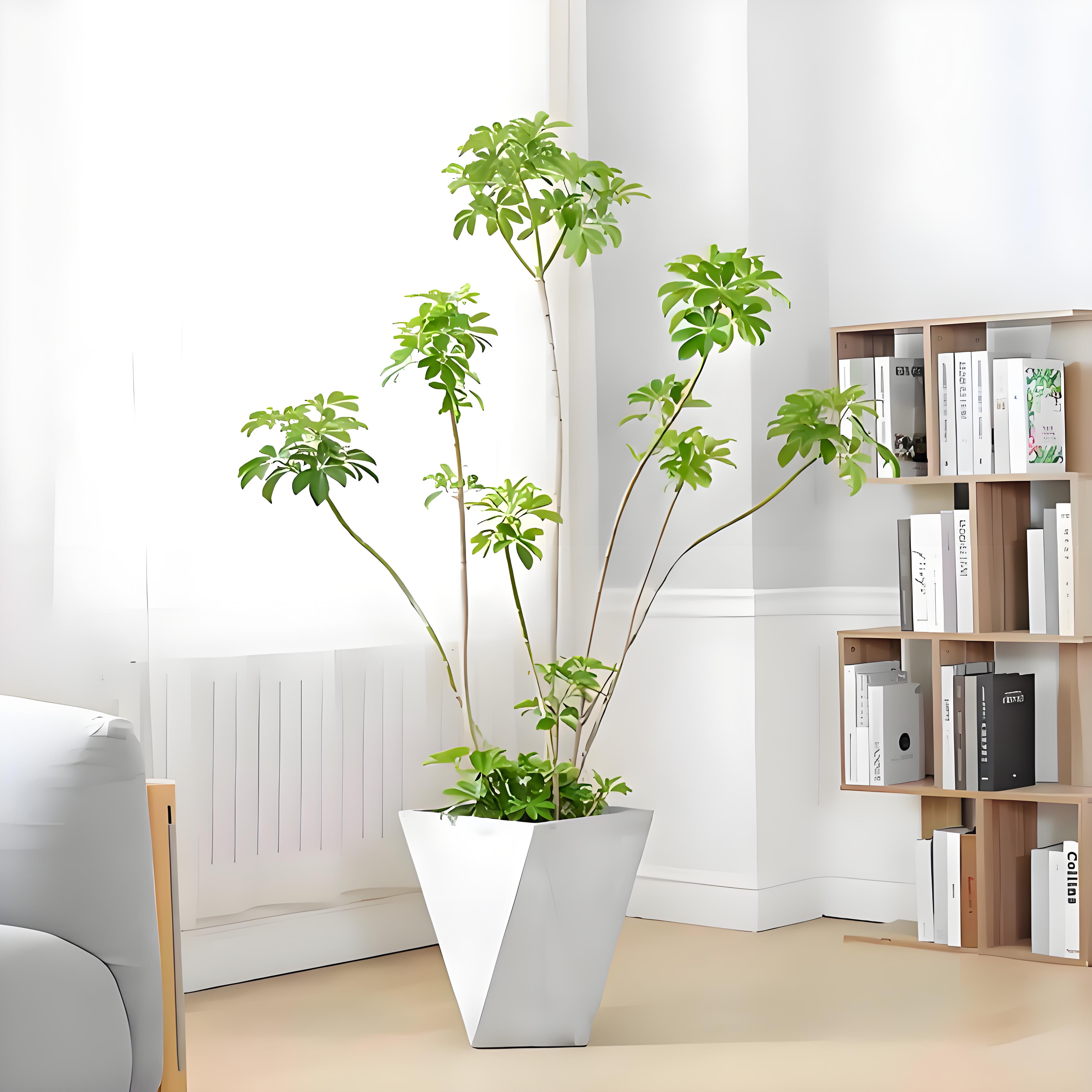 宁波鄞州花卉出租方案